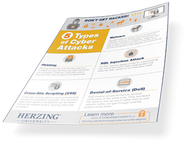 Cyberattack Infographic