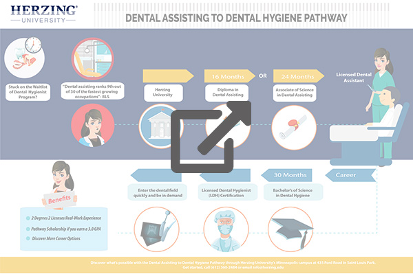 Dental Assistant Infographic