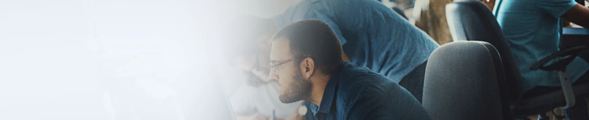 Software Developer Program Online