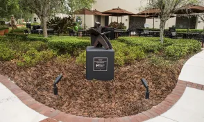 Belgrade Reader Unveiling