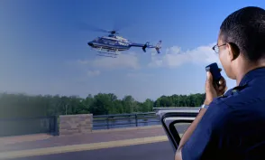 Homeland Security Online Degree