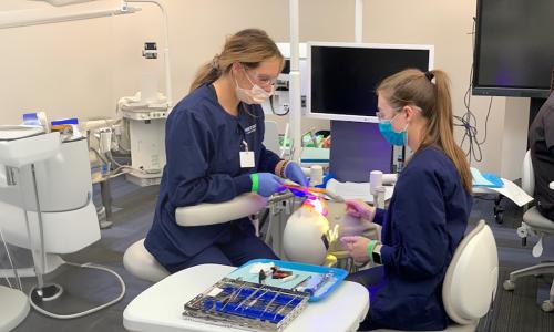 Dental hygienist teaching student how to perform cleaning