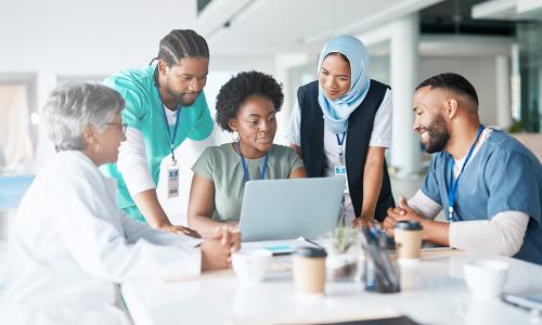 Public Health Nurse Reviewing Strategy with Healthcare Team