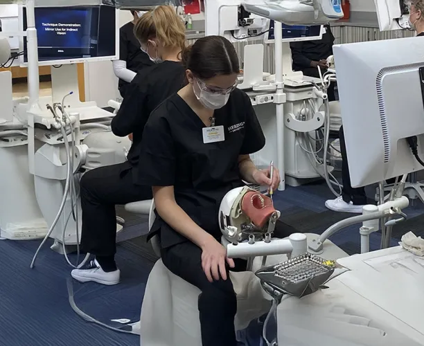 A Herzing University dental hygiene student practicing with a dental model at an advanced training workstation.