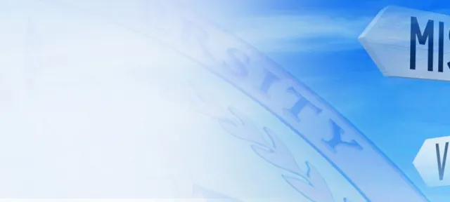 Our Vision, Mission, Guiding Principles and Core Values