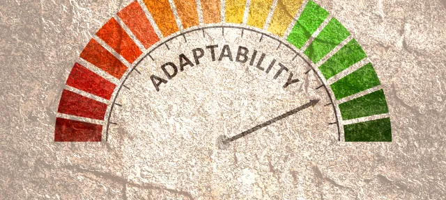Adapt and Overcome: Adjusting to New Norms