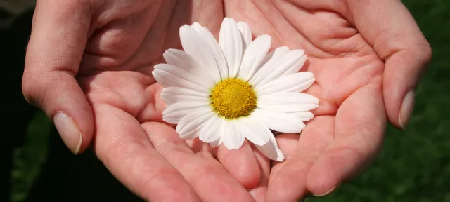 The DAISY Awards: Honoring Extraordinary Nurses and Nurse Educators