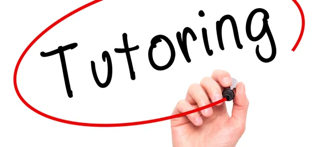 Why You Should Work with a Tutor