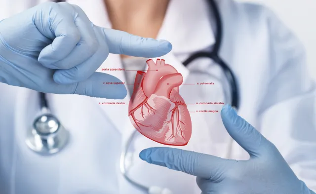 Become a Transplant Nurse and Save Lives