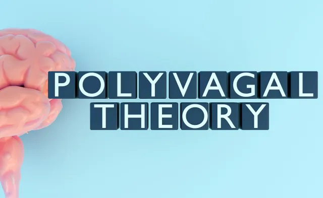 3d rendering of cubes with words "POLYVAGAL THEORY" and human brain. Polyvagal theory is a model that explains how the autonomic nervous system regulates neural activity