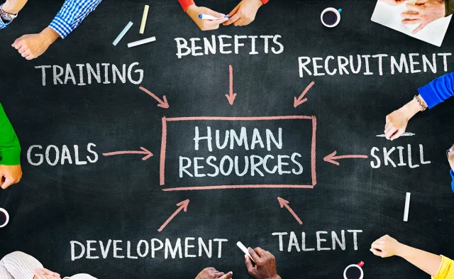 Ask An HR Student: What Do You Love About HR?