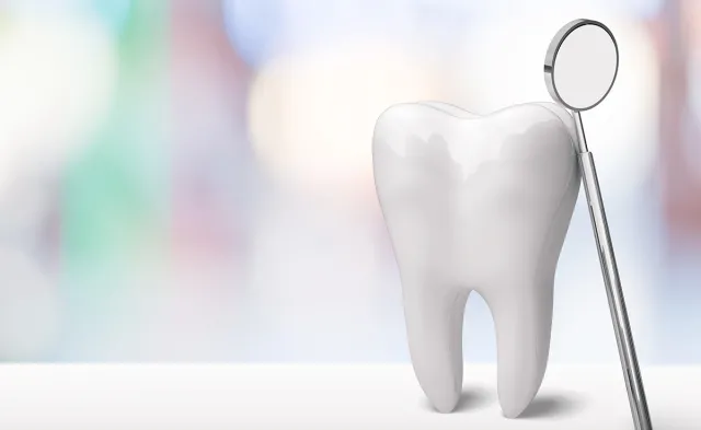 4 Things You Probably Didn’t Know About Your Teeth