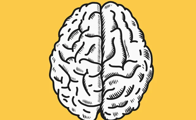 5 Tips to Improve Your Mental Health and Wellness This Year