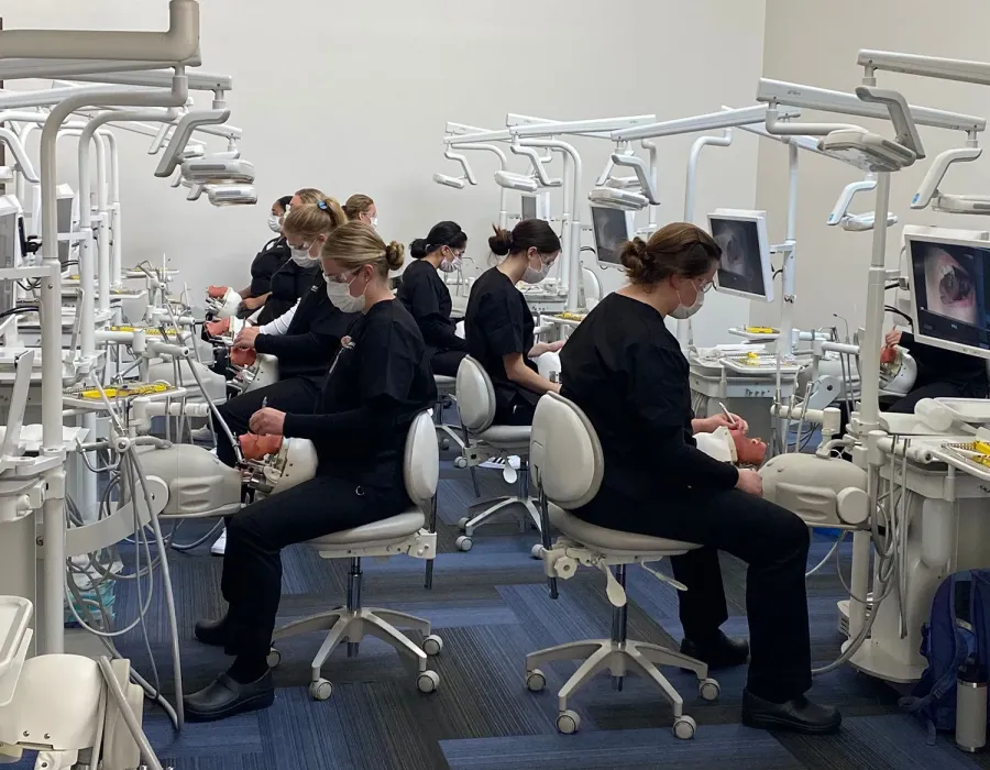 Bachelor of Science in Dental Hygiene students practicing on mannequins in Herzing University dental lab