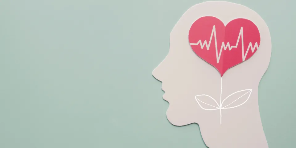 Why Work in Healthcare?