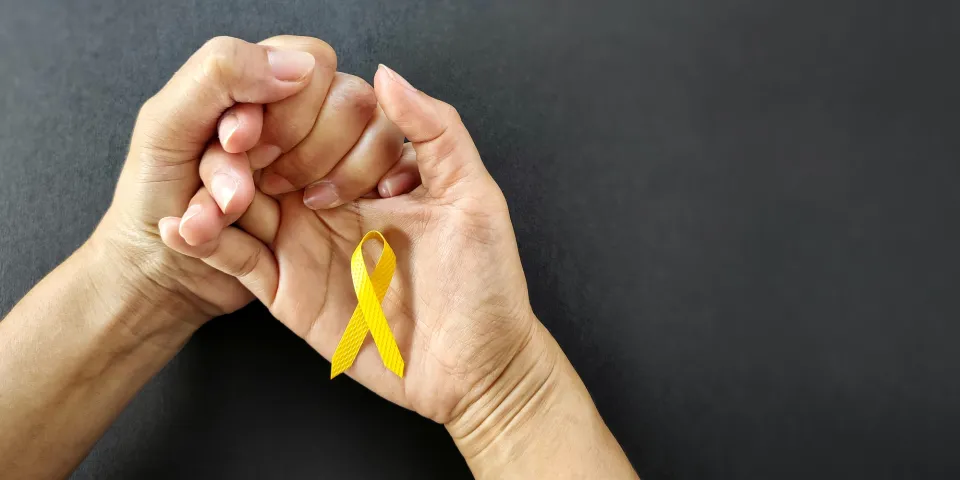 Suicide Prevention in Social Work