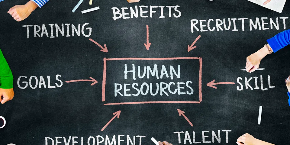 Ask An HR Student: What Do You Love About HR?