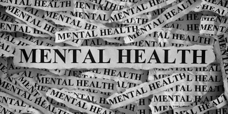 3 Tips to Boost Your Mental Health