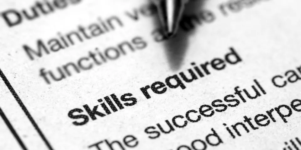 Building Functional Career Skills with Your Degree