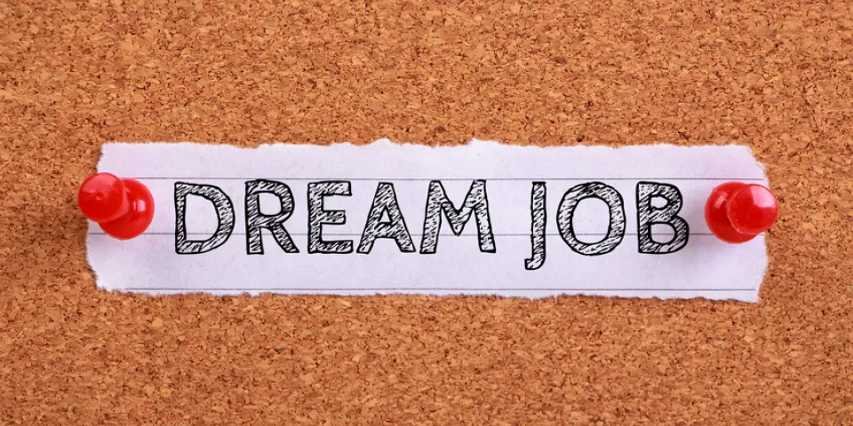 5 Tips for Paving the Way to Your Dream Job
