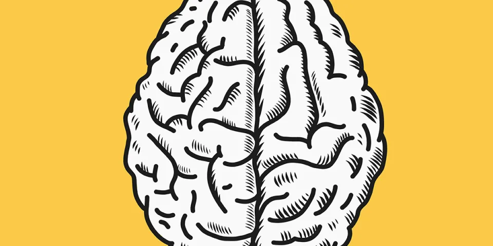 5 Tips to Improve Your Mental Health and Wellness This Year