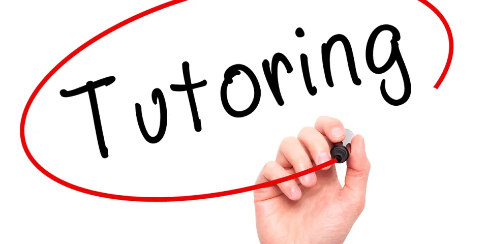 Why You Should Work with a Tutor
