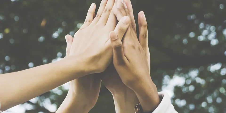 Why Students Should Volunteer (And How to Get Started)