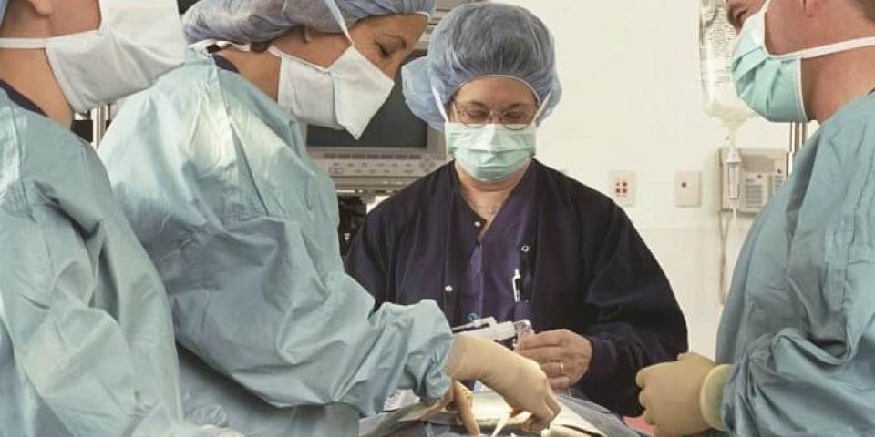 How Much Does a Nurse Anesthetist Make? | CRNA Salary