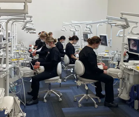 /sites/default/files/styles/fp_640_393/public/2025-11/dental-hygiene-students-in-lab.webp?h=abc679b3&itok=HvgkJAnP