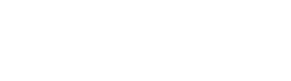 Herzing University